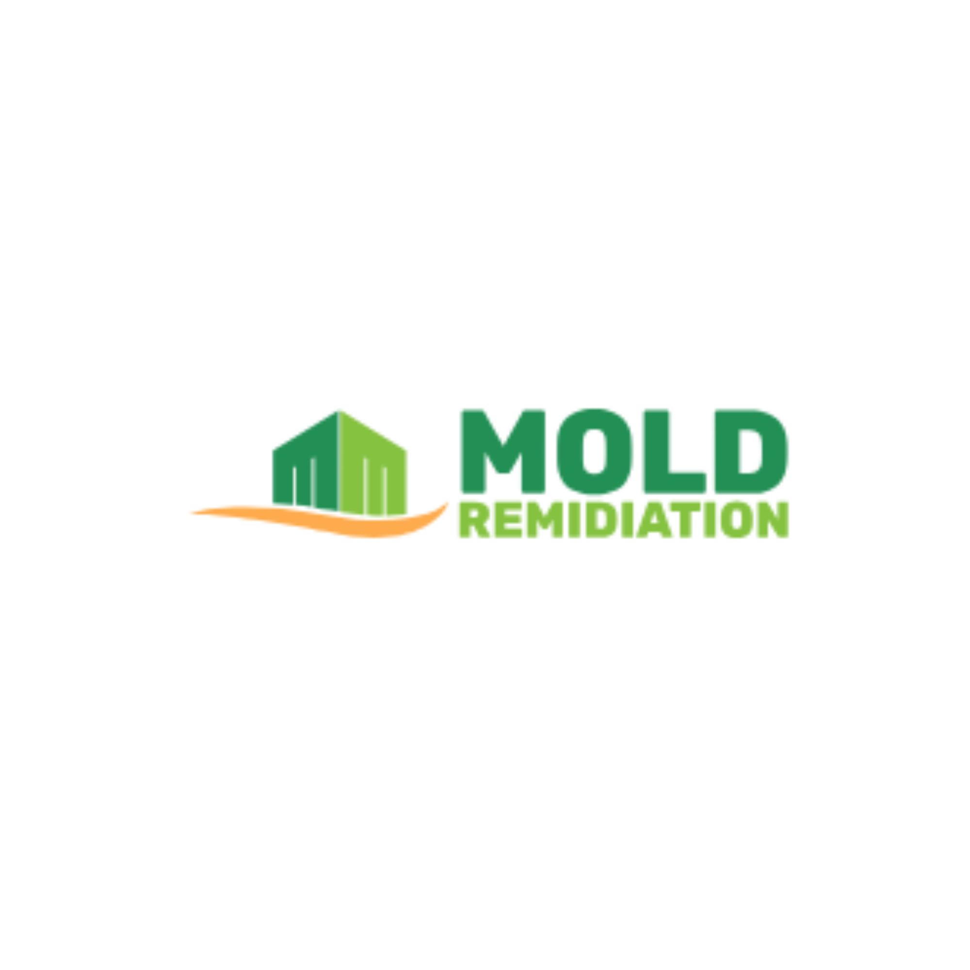 Mold Men Indy, LLC
